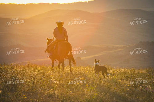 Cowgirl on Horseback 290052