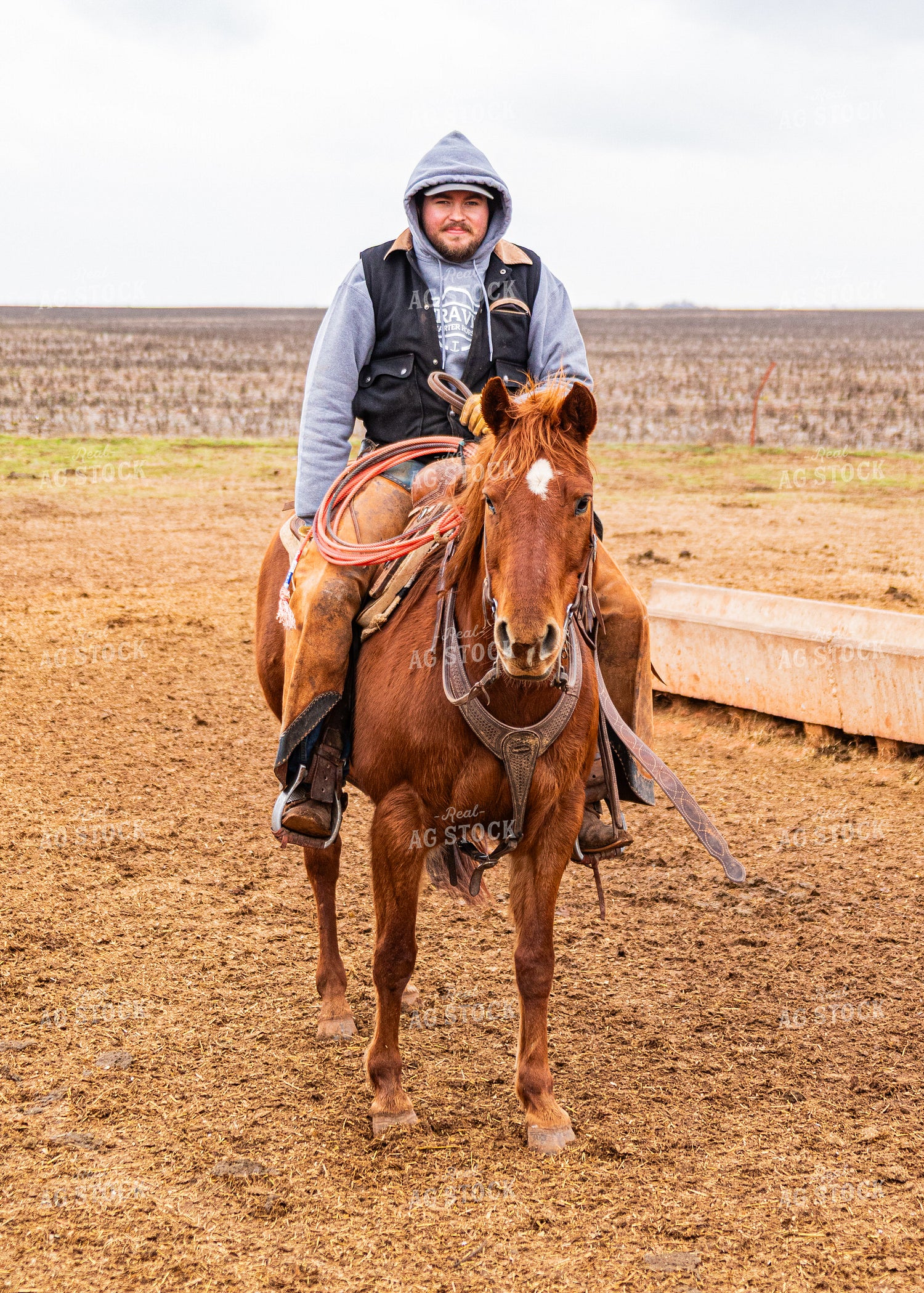 Rancher on Horseback 231051