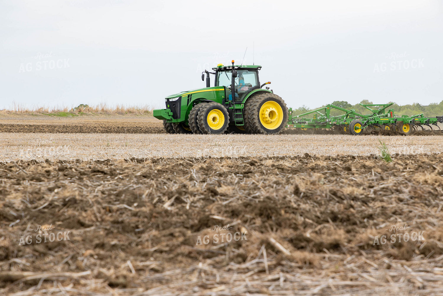 Tillage 79621