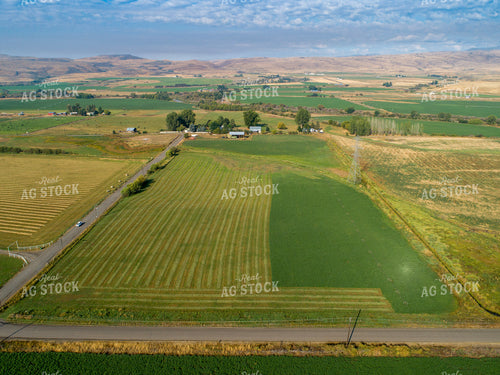 Aerial of Cut Hay Field 122044