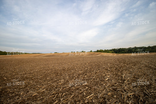 Sunset over Newly Planted Field 52143