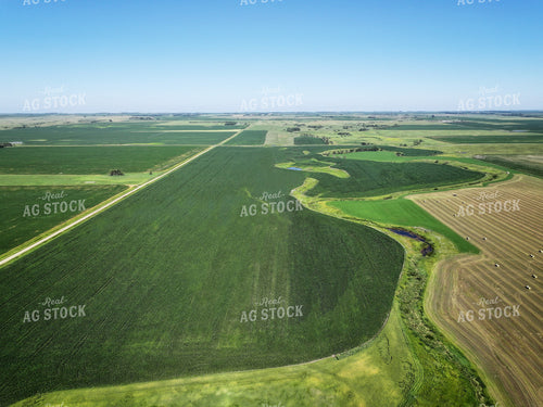 Aerial of Scenic Summer Field 141342