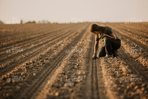 Planting 2833