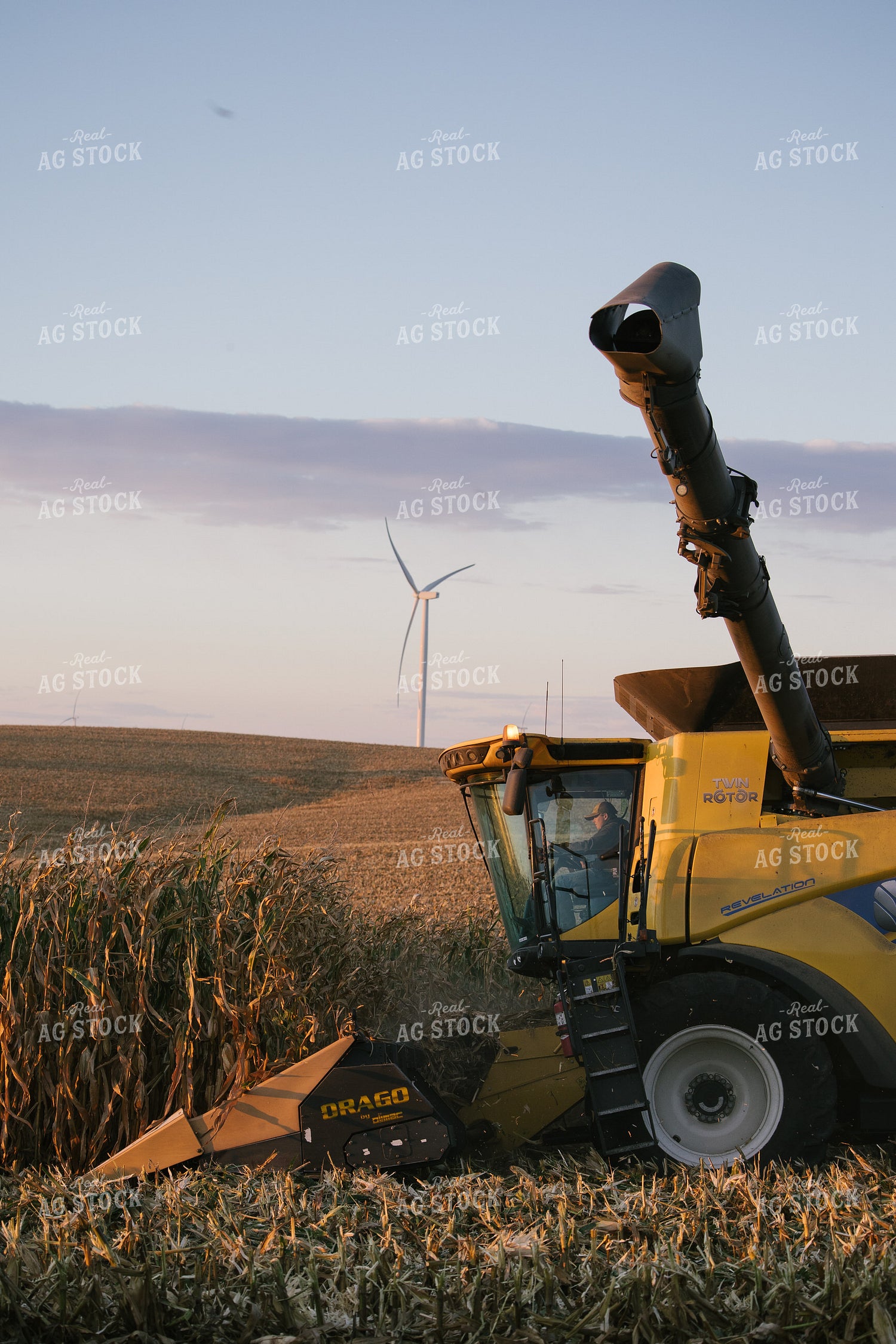 Nebraska Corn Harvest 70004