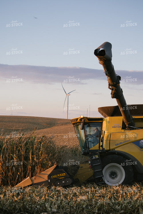 Nebraska Corn Harvest 70004