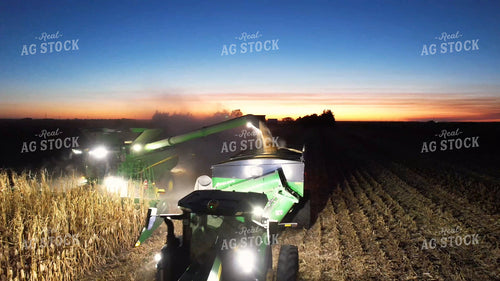 Corn Harvest 65918