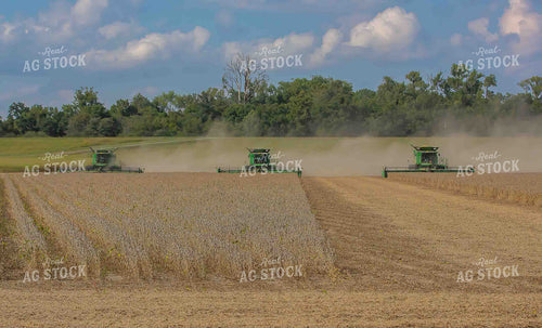Combines During Soybean Harvest 291054
