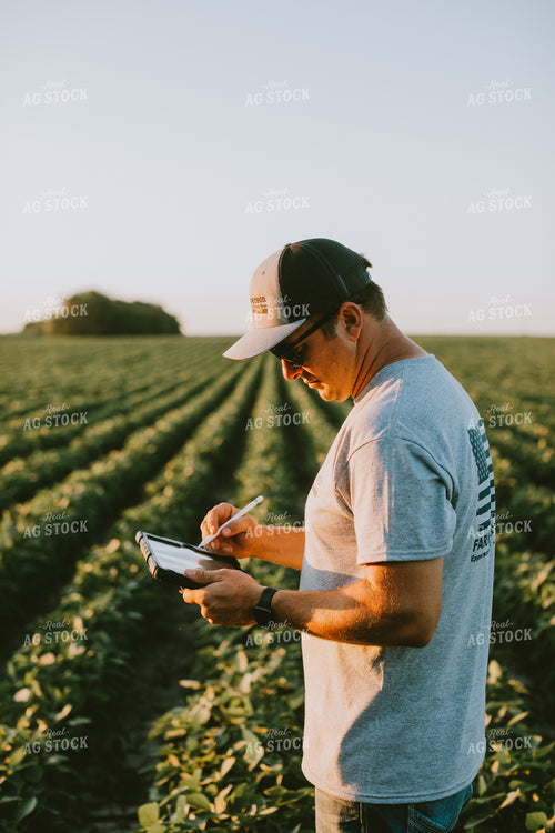 Farmer in Soybean Field with Tablet 6145
