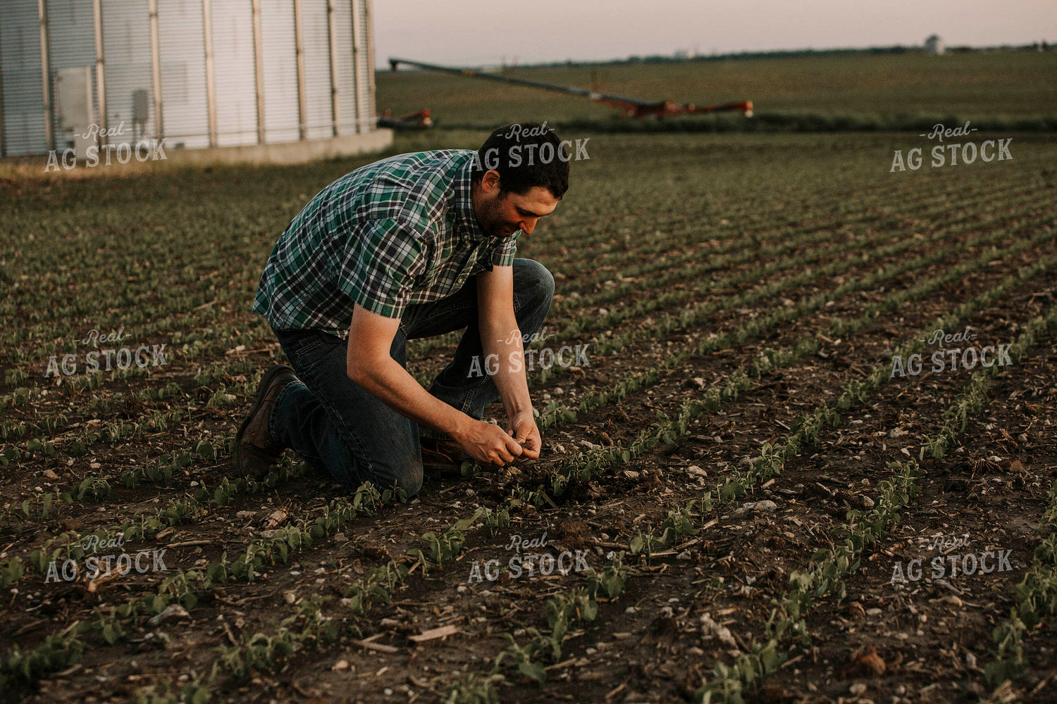 Farmer 2945