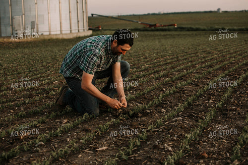 Farmer 2945