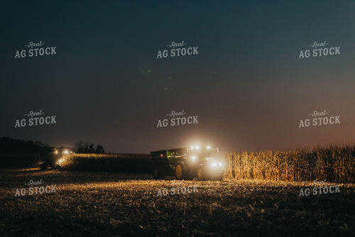 Corn Harvest 9509
