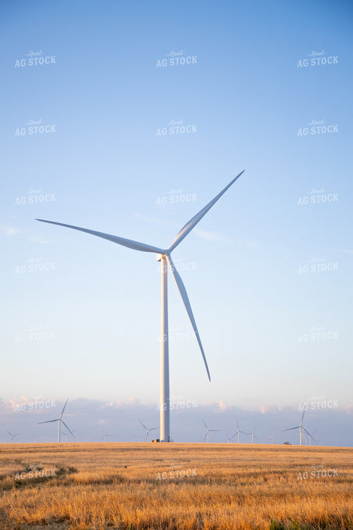 Wind Turbines 208012