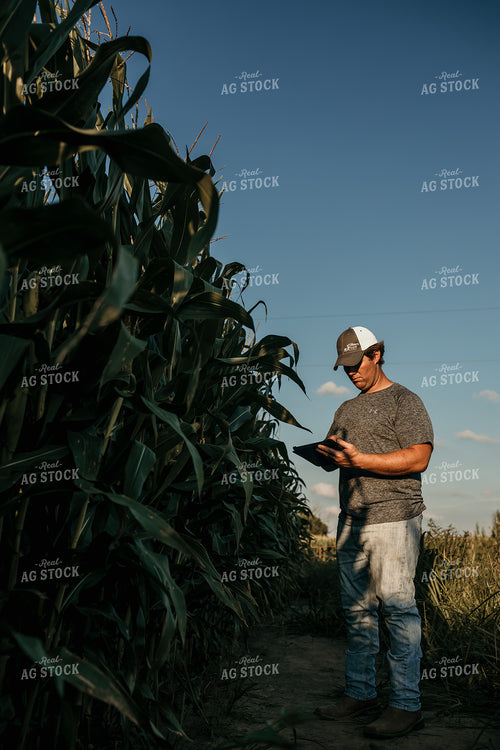 Farmer with iPad in Corn Field 3167