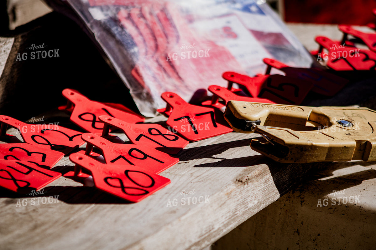 Ear Tags 214074