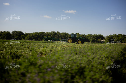 Mowing Hay 281016