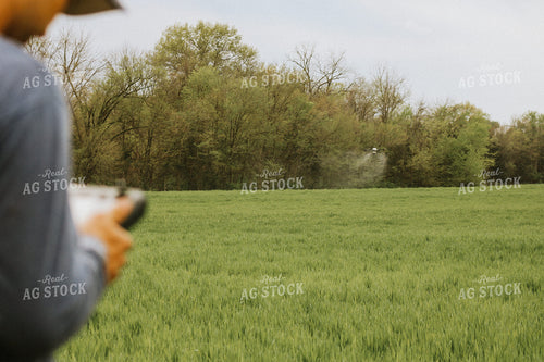 Drone Spraying Wheat Field with Farmer Flying in Foreground 101047