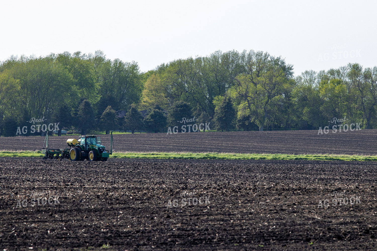 Planting 257013
