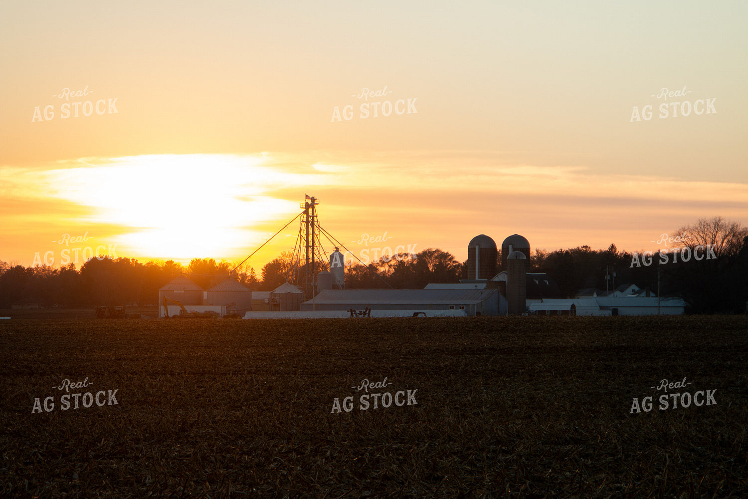 Farm Landscape at Sunset 157265