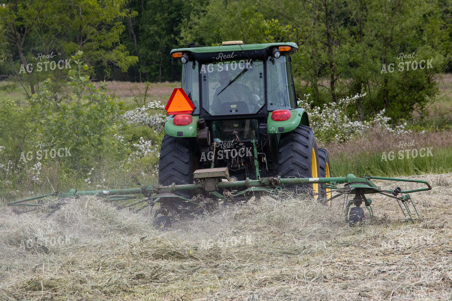 Hay Field 52166