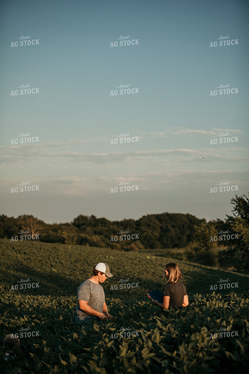 Farmer with Agronomist in Soybean Field 3182