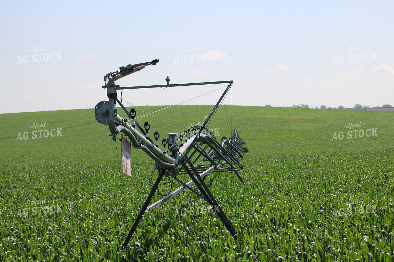 Irrigation System 82020