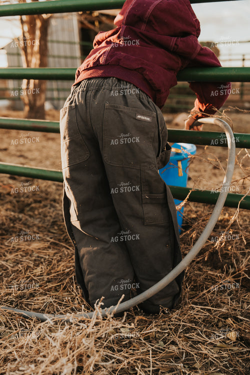 Ranch Kid Doing Chores 61243