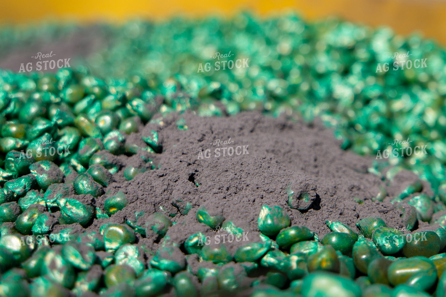 Treated Corn Seed in Planter Box with Seed Lubricant 157304