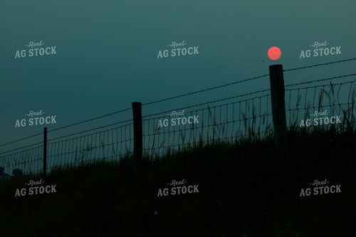 Moon Over Fenceline at Dusk 129112