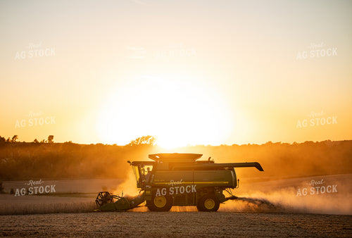 Soybean Harvest 215037