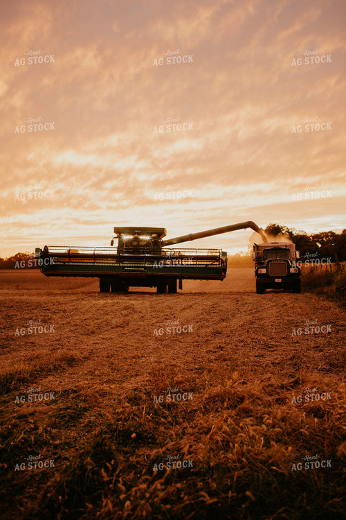 Harvest 2655