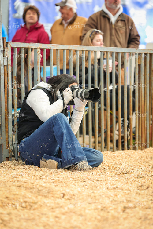 Photographing Pig Show 52325