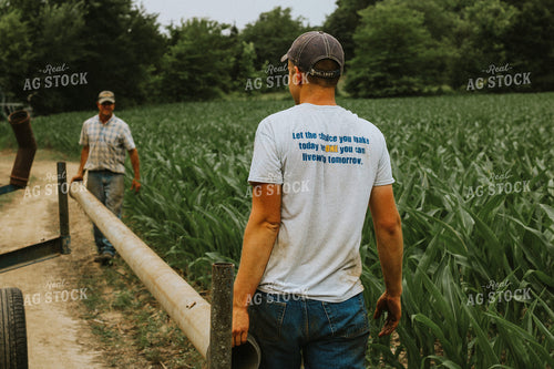 Farmers Lining Up Irrigator Pipes 101036