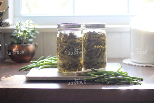 Canned and Fresh Green Beans 73039
