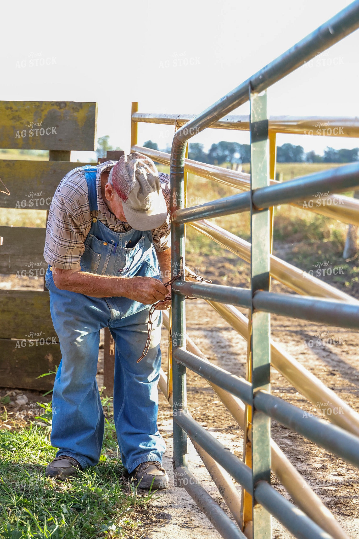 Farmer Closing Gate 160431