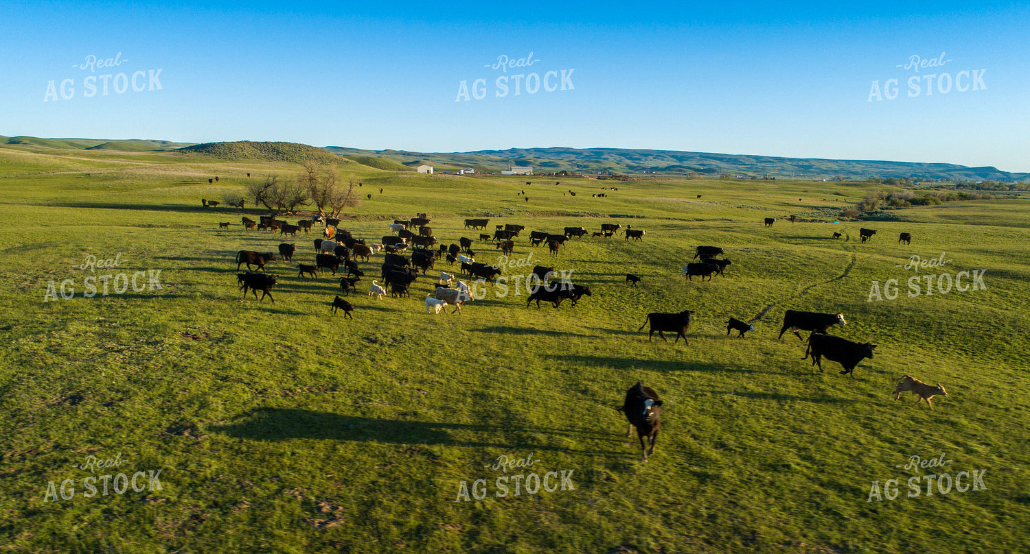 Aerial of Pasture 122054