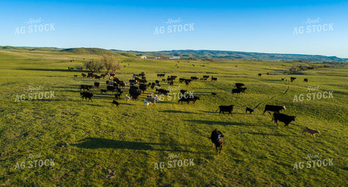Aerial of Pasture 122054