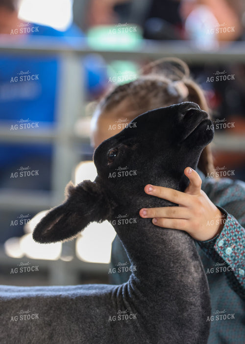 Showing Goats 160218