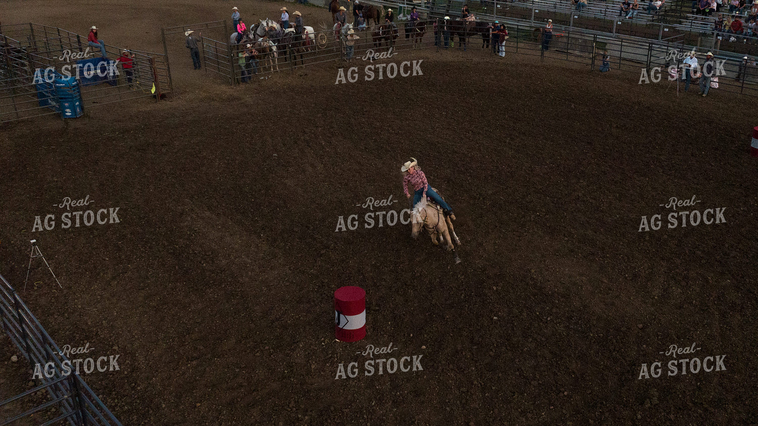 Rodeo 52874