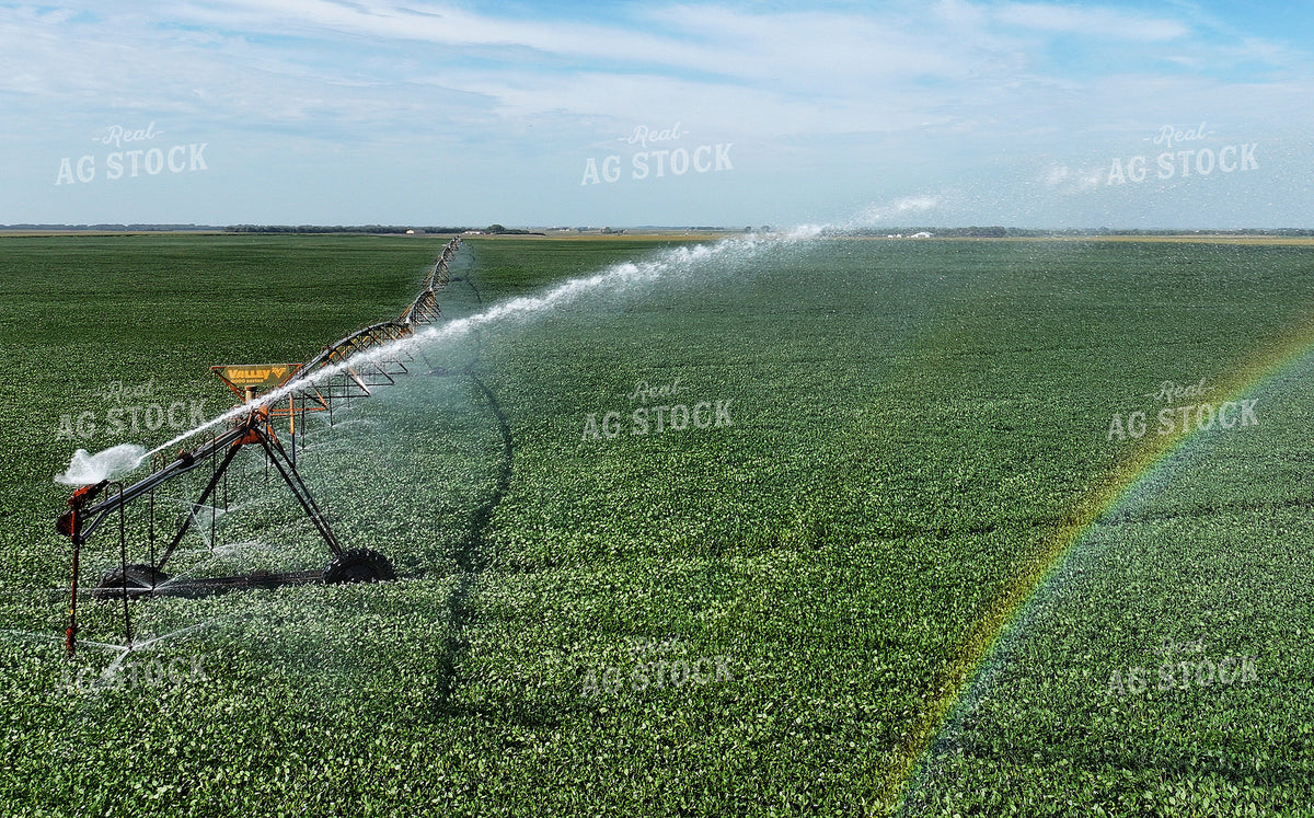 Aerial of Center Pivot Irrigation System 141747