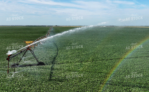 Aerial of Center Pivot Irrigation System 141747