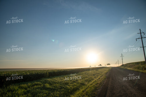 Foggy Sunrise over Soybean Field and Rural Country Road 25025