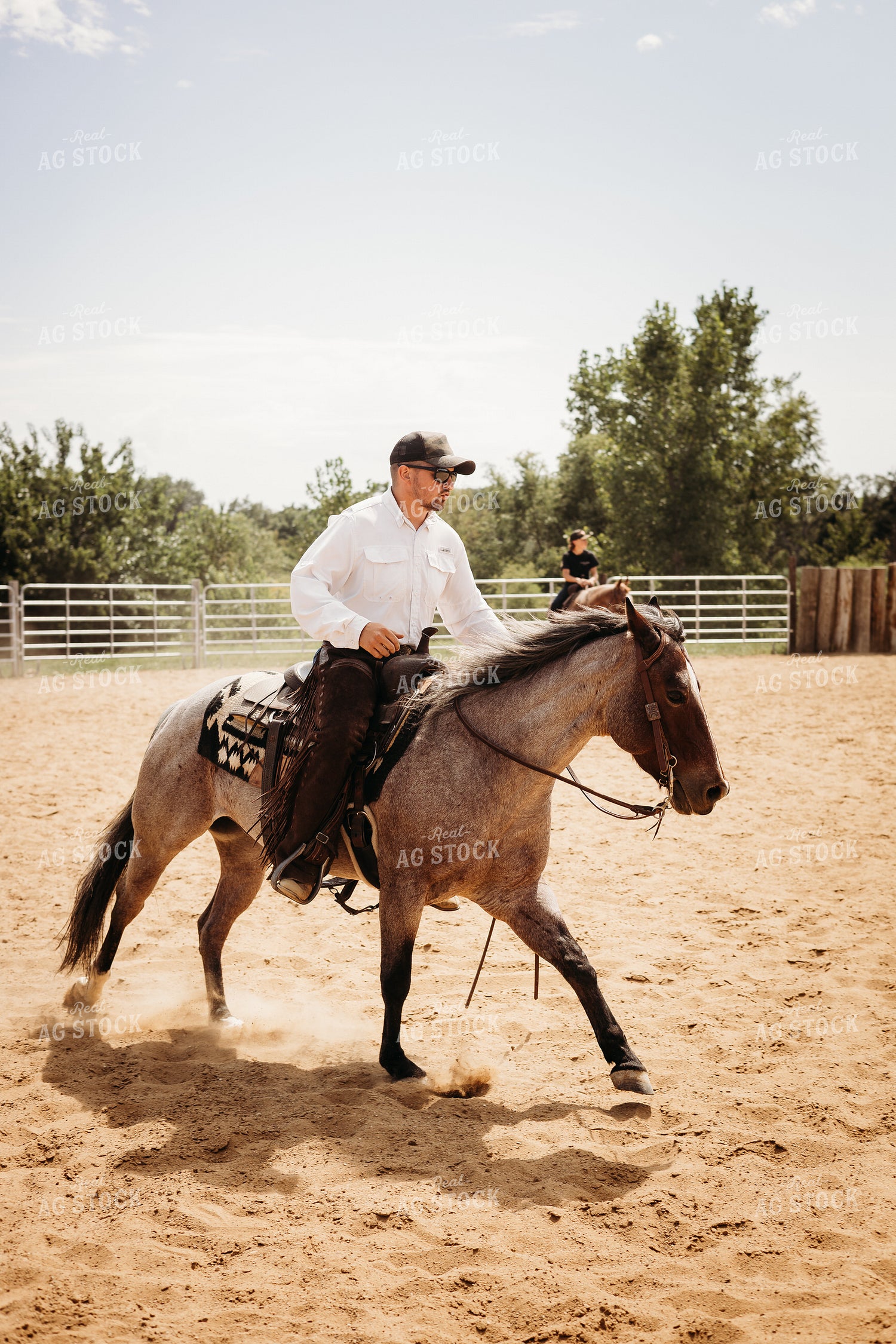 Riding Horse in Arena 281091