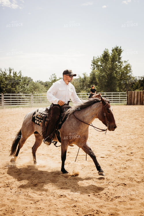 Riding Horse in Arena 281091