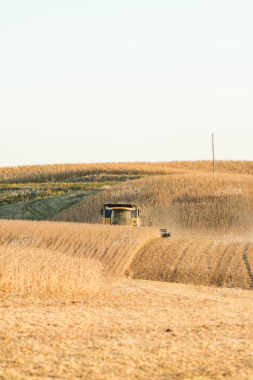 Soybean Harvest 215127