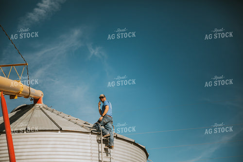 Auger Filling Grain Bin 7071