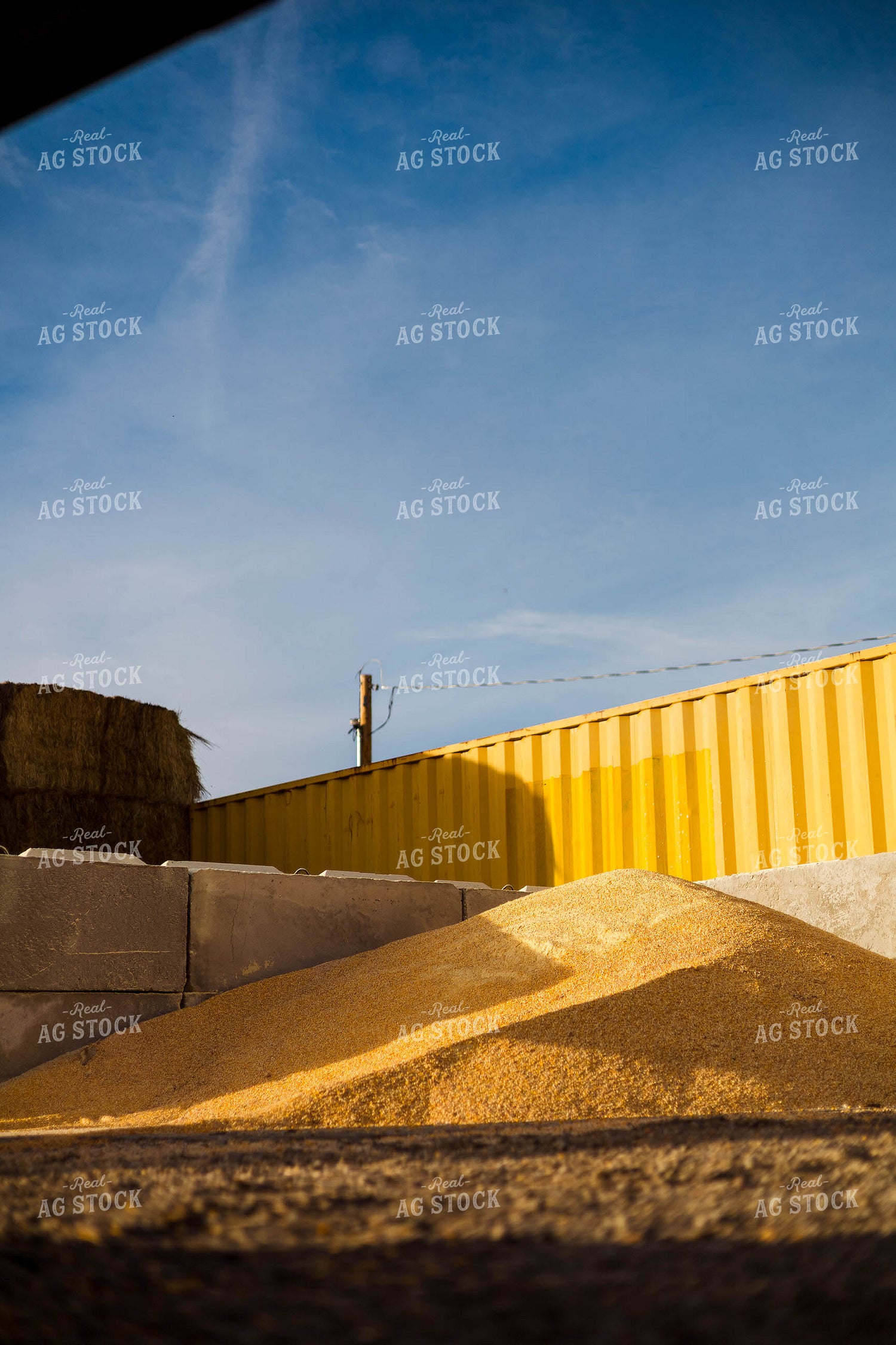 Livestock Feed Ingredients 97247