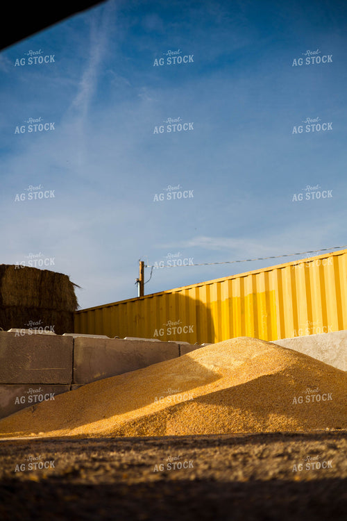 Livestock Feed Ingredients 97247