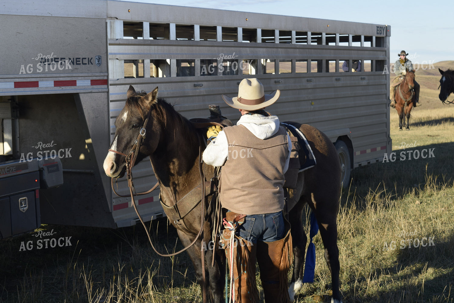Cowboy Saddling Horse 284008