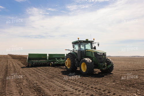 Seeding Alfalfa 152846