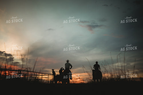 Ranchers on Horses in Pasture at Dusk 6443